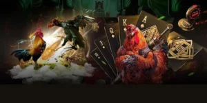 Hướng Dẫn Cách Chơi Đá Gà GA28 Tại Alo789 Thắng Lớn Mỗi Ngày